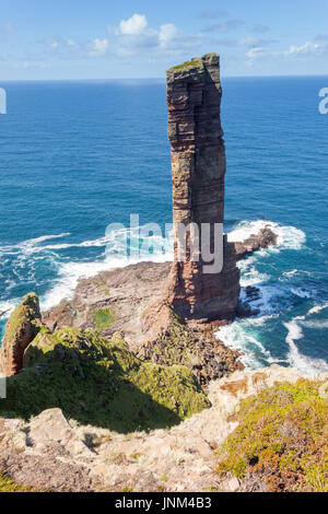 Le vieil homme de Hoy, une pile de rock populaire avec les grimpeurs, Hoy, Orkney UK Banque D'Images