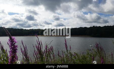 Lake Ruislip Lido Banque D'Images