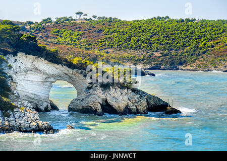 Côte près de Vieste, appelez l'Arco di San Felice, Gargano, Puglia, Pouilles, Italie, Europe Banque D'Images