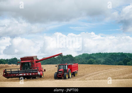 Une moissonneuse-batteuse et le tracteur la récolte du blé Banque D'Images
