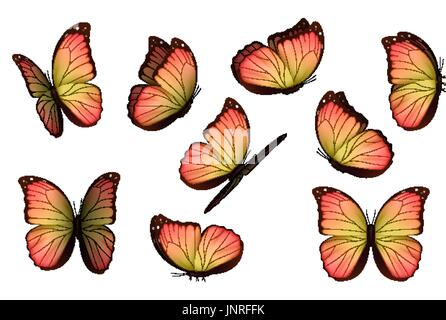 Définir les papillons colorés isolé. Illustration de Vecteur