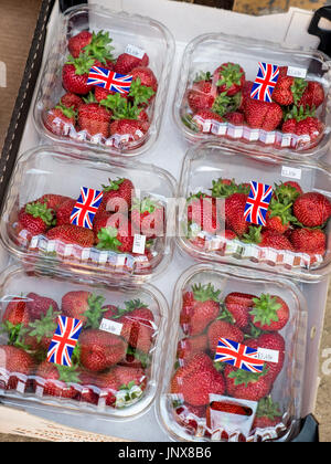 La fraises à l'afficher en clair dans le marché des conteneurs en plastique punnett avec motif Union Jack flag Banque D'Images