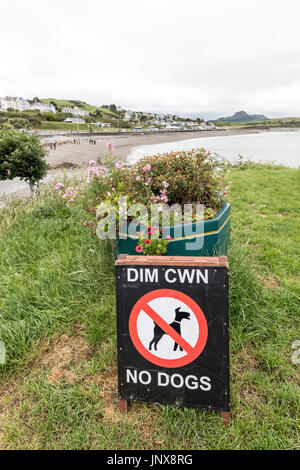 Pas de chiens signer sur l'herbe au bord de la mer, Criccieth, Péninsule de Lleyn, Pays de Galles, Royaume-Uni Banque D'Images