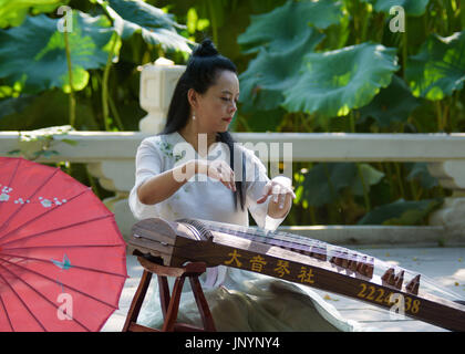 Mianyang, Sichuan : jouer dans la piscine lotus guzheng Banque D'Images