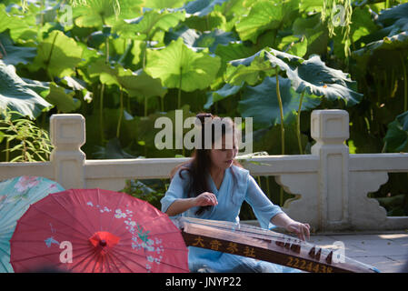 Mianyang, Sichuan : jouer dans la piscine lotus guzheng Banque D'Images