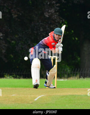 Luton, Royaume-Uni. 31 juillet, 2017. Bedfordshire, Royaume-Uni. XI International Cricket Jouer contre Luton pakistanais à Wardown Park à Luton, Bedfordshire, Royaume-Uni. Banque D'Images