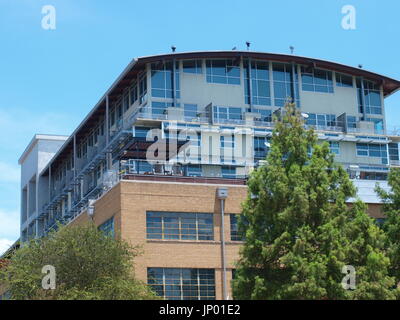 Dallas, USA. 31 juillet, 2017. Le montant de 11 millions de Katy Trail pont à haubans piétonnier a finalement arrivé à Mockingbird Station après sa volée sur Mockingbird Lane. La Katy va rejoindre le White Rock Trail pour compléter le réseau de plusieurs autres sentiers, Crédit : dallaspaparazzo/Alamy Live News Banque D'Images