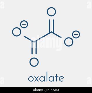 L'anion oxalate, structure chimique. Les sels d'oxalate peut former des calculs rénaux. Formule topologique. Illustration de Vecteur