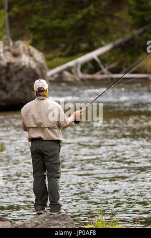 Sur la rivière Firehole pêcheur dans le Parc National de Yellowstone Banque D'Images