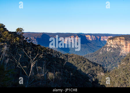 Vue d'une vallée près du Mont Tomah dans les Blue Mountains, NSW, Australie Banque D'Images