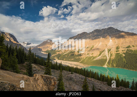 Le lac Peyto, dans le parc national Banff, Alberta, Canada Banque D'Images