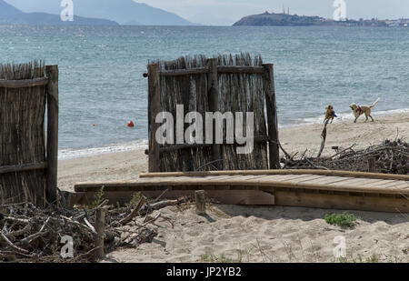 Vue d'un chien beach en Italie Banque D'Images