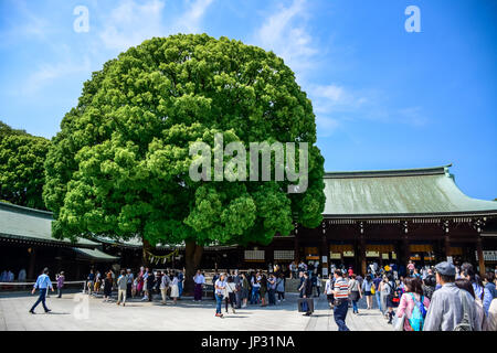 Les touristes visitent le sanctuaire de Meiji situé dans le quartier de Shibuya, Tokyo Banque D'Images