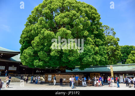 Les touristes visitent le sanctuaire de Meiji situé dans le quartier de Shibuya, Tokyo Banque D'Images