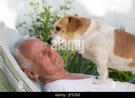 Old man resting in garden et mignon chien grimper sur son torse et l'embrassant. L'amour animal concept Banque D'Images