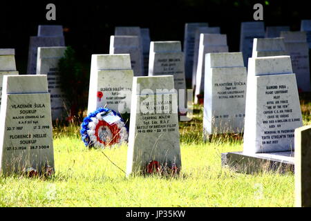 Cimetière Le cimetière militaire de Brookwood et, également connu sous le nom de la Nécropole de Londres, dans le Surrey. Le plus grand cimetière au Royaume-Uni créé en 1852. Banque D'Images