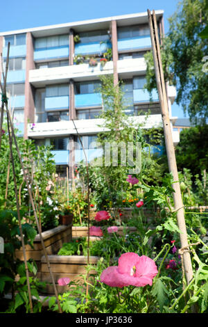 Jardin communautaire et appartements modernes sur le Golden Lane Estate près du Barbican dans la ville de Londres ce 2 UK KATHY DEWITT Banque D'Images