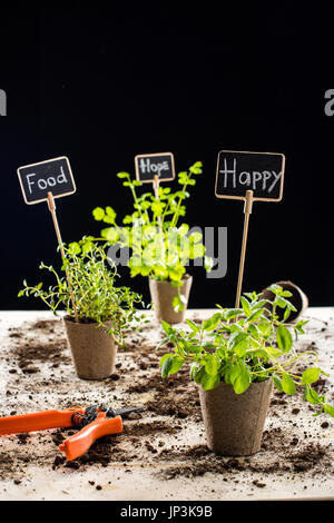 Vue rapprochée de plantes vertes avec frais professionnels, de l'alimentation et de l'espoir signe isolé sur la scène jardin, noir Banque D'Images