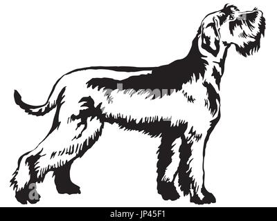 Portrait de décoration de l'article profil de Schnauzer Géant, vector illustration en couleur noir isolé sur fond blanc Illustration de Vecteur