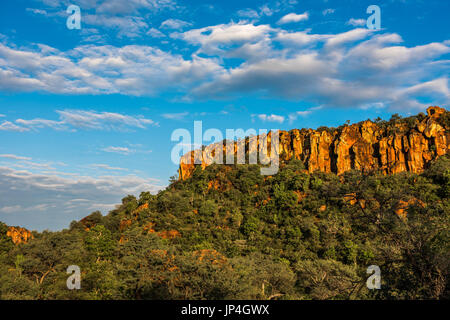 Le Waterberg Plateau et le parc national, la Namibie Banque D'Images