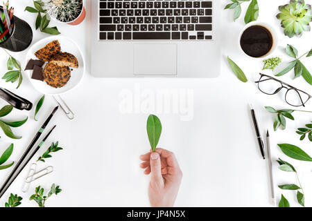 Vue de dessus partielle personne tenant vert feuille sur le lieu de travail avec ordinateur portable, tasse de café, des feuilles vertes et des fournitures de bureau, la communication sans fil concep Banque D'Images