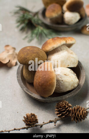 Savoureuse - porcini cèpes frais muchrooms chêne, de haute qualité, prête à cuire avec le riz, les pommes de terre et dans la soupe Banque D'Images