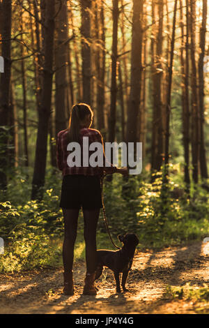 Young woman walking bouledogue français en forêt au coucher du soleil. Banque D'Images