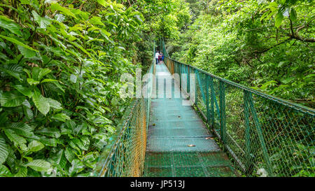 Green pont suspendu en forêt tropicale de Monteverde Banque D'Images