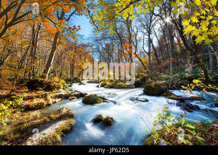 La Gorge de belle rivière Oirase druing la saison d'automne, le Japon Banque D'Images