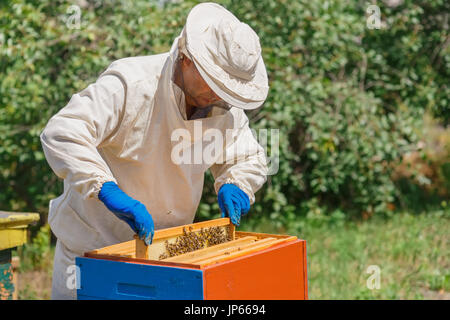 L'apiculteur avec honeycomb Banque D'Images