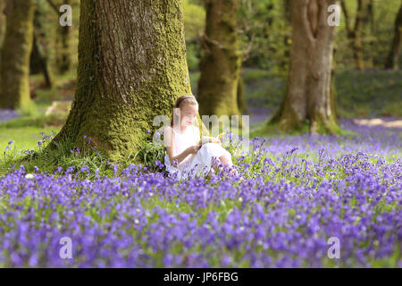 Une petite fille bénéficie d'un livre parmi les jacinthes en bois près de Honiton, Devon, UK Banque D'Images