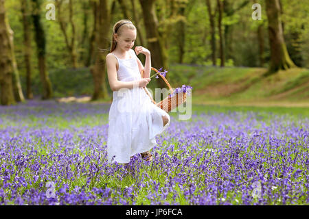 Une petite fille bénéficie d'une promenade parmi les jacinthes en bois près de Honiton, Devon, UK Banque D'Images