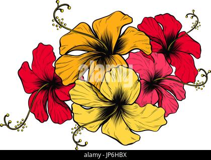 Fleurs d'Hibiscus Illustration de Vecteur