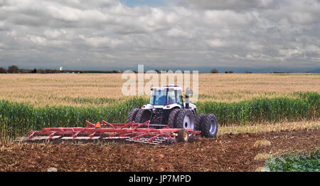 Un agriculteur utilise une herse à disques pour rouler de chaumes de maïs dans le sol pour les nutriments pour la saison prochaine. Banque D'Images