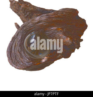 Photo HDR image d'une boule de cristal sur driftwood Banque D'Images