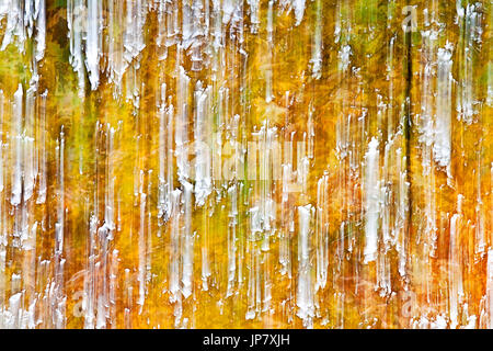 Résumé photo de feuilles d'automne Banque D'Images