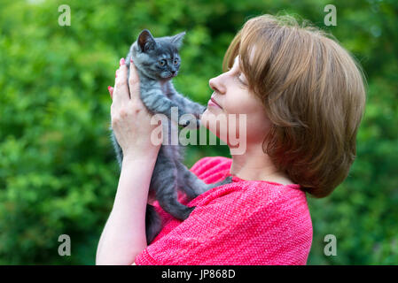 Une femme tient un chaton pur-sang. Scottish Straight Banque D'Images