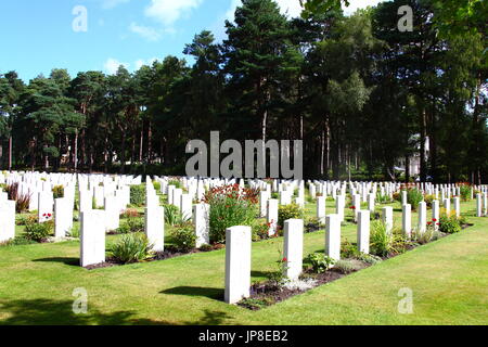 Cimetière Le cimetière militaire de Brookwood et, également connu sous le nom de la Nécropole de Londres, dans le Surrey. Le plus grand cimetière au Royaume-Uni créé en 1852. Banque D'Images