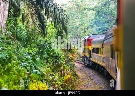 Vue sur le canal de Panama railway train dans la forêt tropicale en provenance de la ville de Panama à Colon Banque D'Images