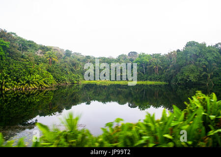 Vue sur le lac Gatun du canal de Panama railway train roulant de la ville de Panama à Colon Banque D'Images