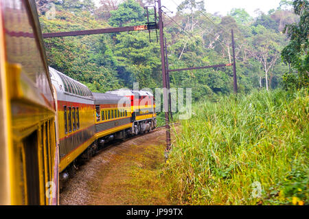 Vue sur le canal de Panama railway train dans la forêt tropicale en provenance de la ville de Panama à Colon Banque D'Images