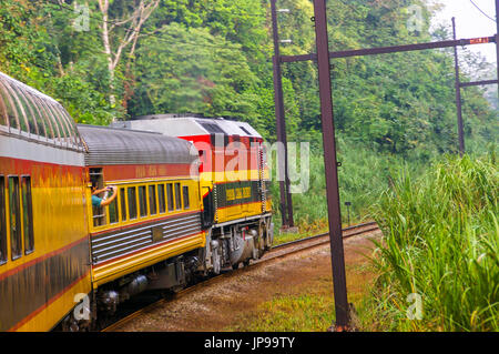 Vue sur le canal de Panama railway train dans la forêt tropicale en provenance de la ville de Panama à Colon Banque D'Images