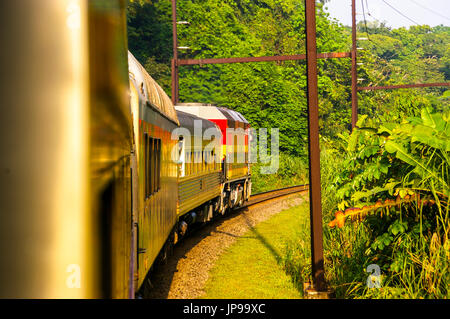 Vue sur le canal de Panama railway train dans la forêt tropicale en provenance de la ville de Panama à Colon Banque D'Images