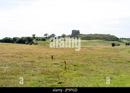 - Kalø Kalø slot château ruines près de Aarhus - Danemark - Suède Banque D'Images