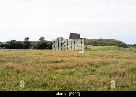 - Kalø Kalø slot château ruines près de Aarhus - Danemark - Suède Banque D'Images