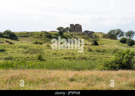 - Kalø Kalø slot château ruines près de Aarhus - Danemark - Suède Banque D'Images