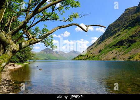 Wastwater pierriers ,Wasdale Lake District Cumbria UK Banque D'Images