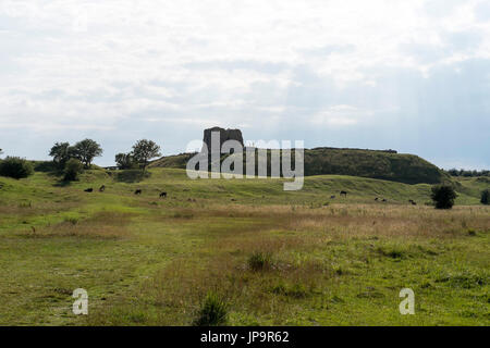 - Kalø Kalø slot château ruines près de Aarhus - Danemark - Suède Banque D'Images