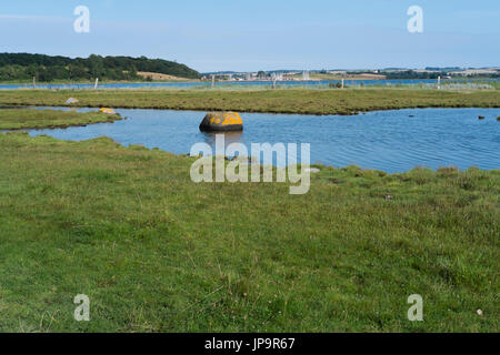 Paysage près de Kalø Kalø ruines du château - logement près de Aarhus - Danemark - Suède Banque D'Images