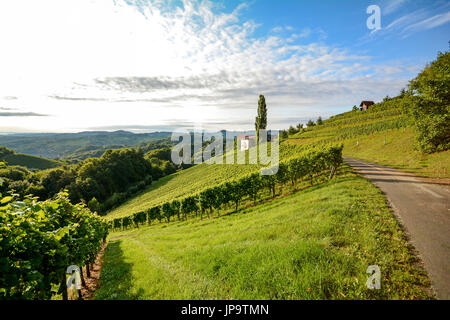 Route des vins par vignoble raide à côté d'un vignoble dans la région viticole de Toscane, Italie Europe Banque D'Images